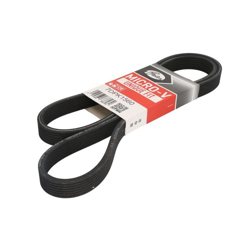 GATES GAT7DPK1560 V-Ribbed Belt