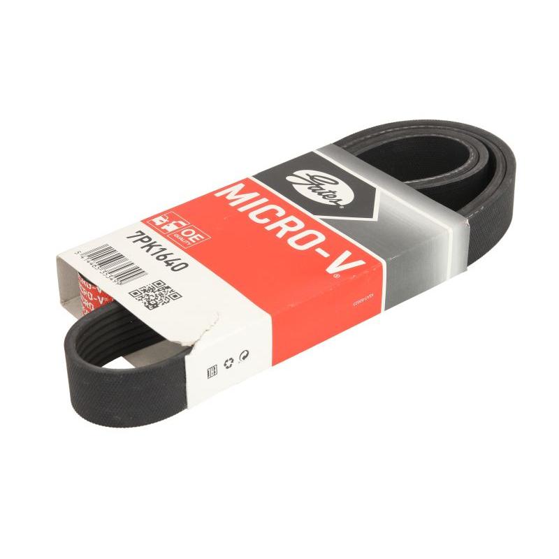 GATES GAT7PK1640 V-Ribbed Belt