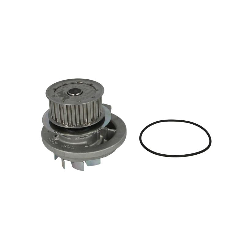 HEPU P318 Water Pump