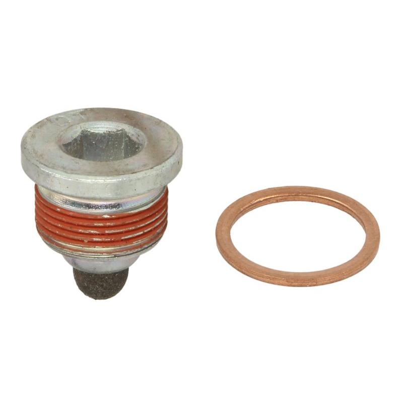 DT SPARE PARTS 2.9131 Oil Sump Gasket