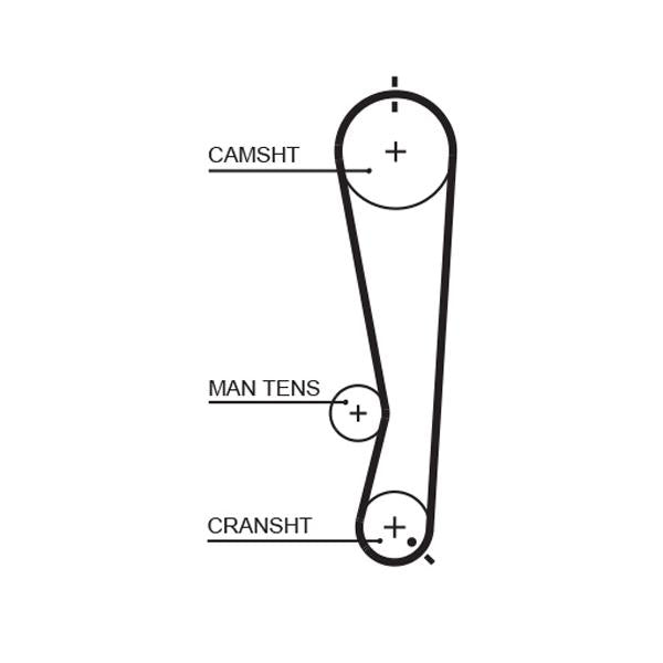 GATES GAT5591XS Timing Belt