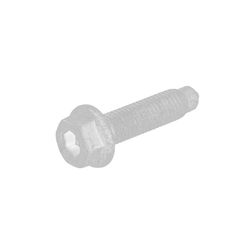 OE VW N90735604 Timing Chain Tensioner Bolt