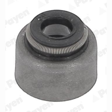 PAYEN HR5150 Valve Stem Seal Set