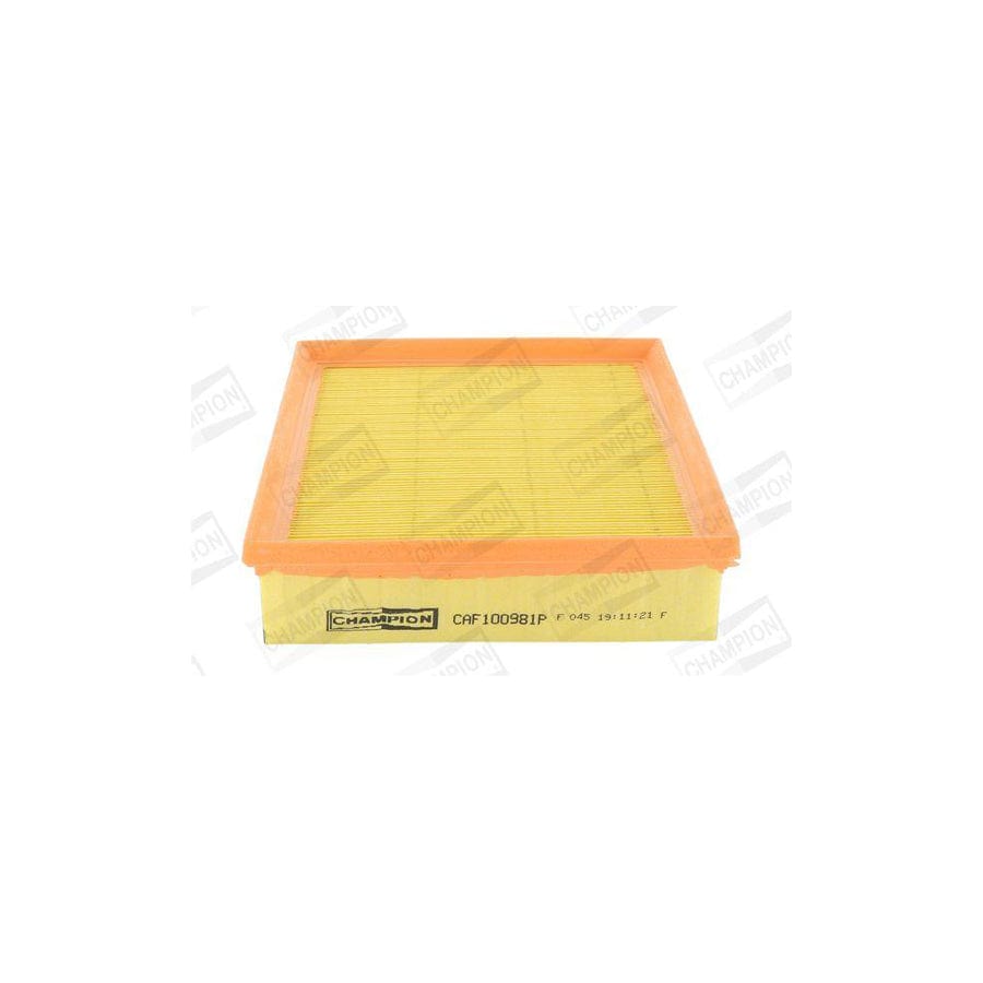 Champion Caf100981P Air Filter
