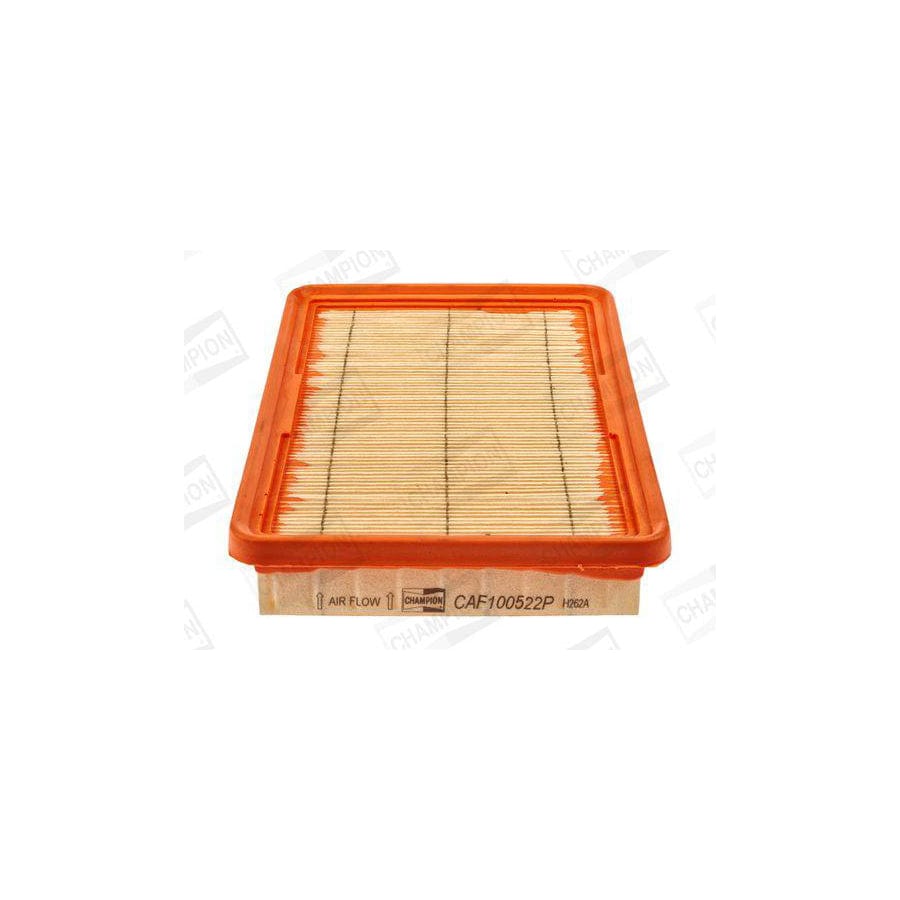 Champion Caf100522P Air Filter