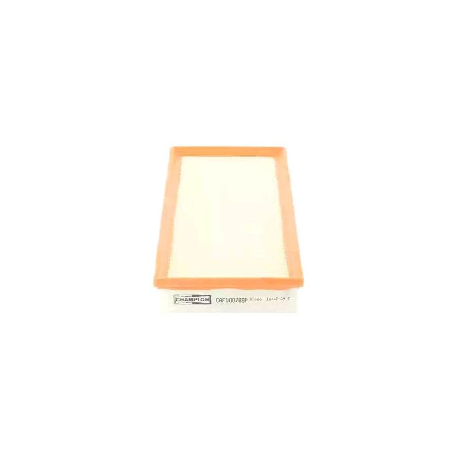Champion Caf100789P Air Filter