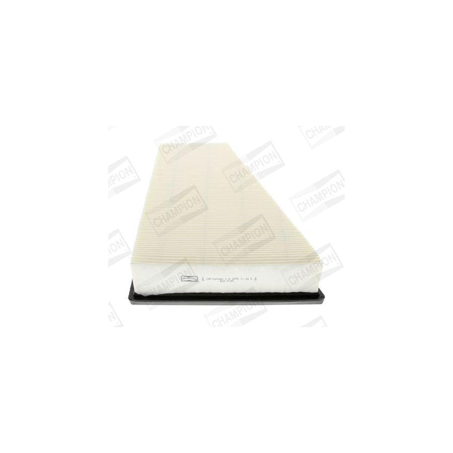 Champion Caf100706P Air Filter