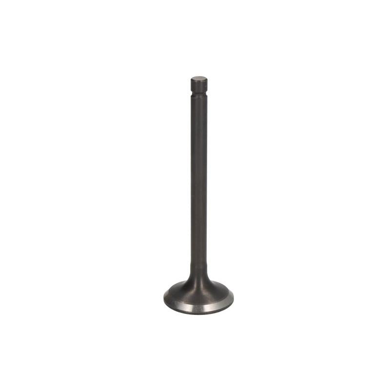 PARSUN F20-05030002 Exhaust Valve