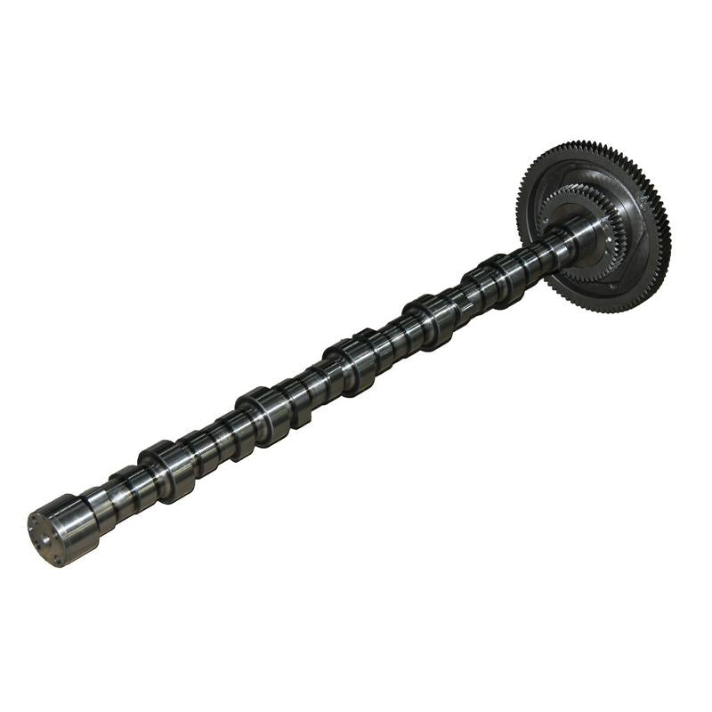 BF 20100228760 Camshaft