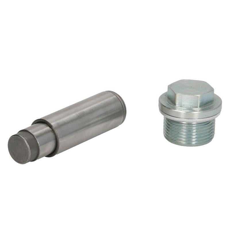 SWAG SW40100004 Timing Chain Tensioner