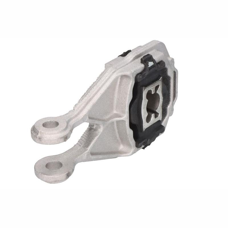 SASIC SAS9002424 Engine Mount Support
