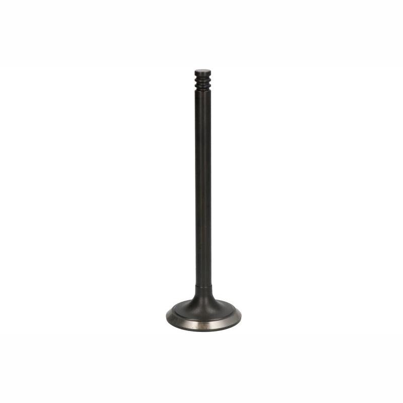 DNJ EV1122 Exhaust Valve