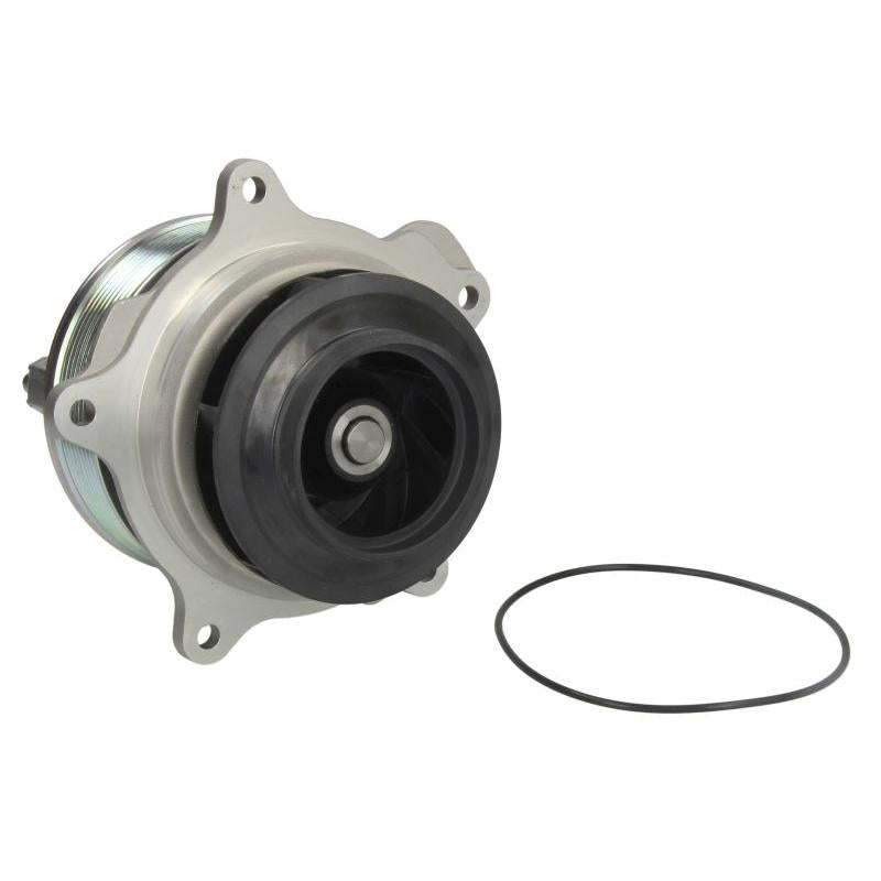 DOLZ DOLZD323 Water Pump