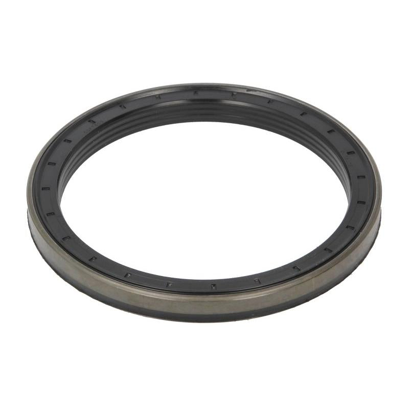 DANA SPICER 177.06.009.01-DS Wheel Hub Shaft Seal