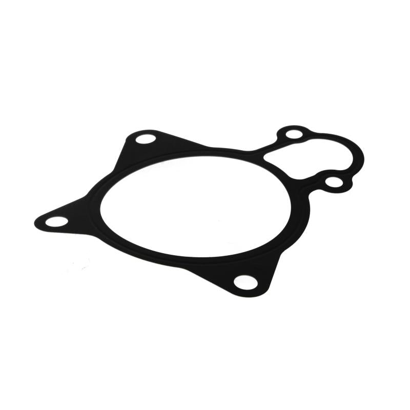 LEMA LE24018.05 Water Pump Gasket