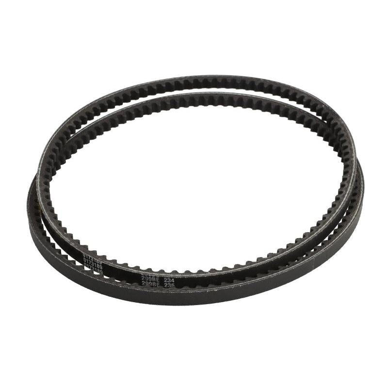 GATES 0173189-GAT V-Belt