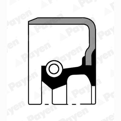 PAYEN NJ562 Wheel Hub Shaft Seal