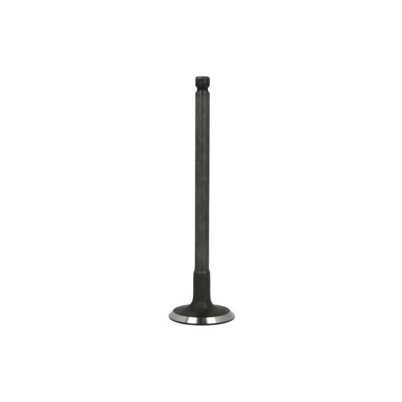 FRECCIA 6250/SNT Intake Valve