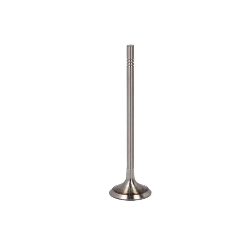 NE 147050002900 Intake Valve