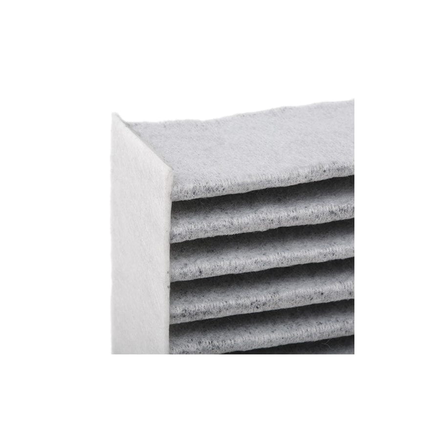 Champion Ccf0320C Pollen Filter