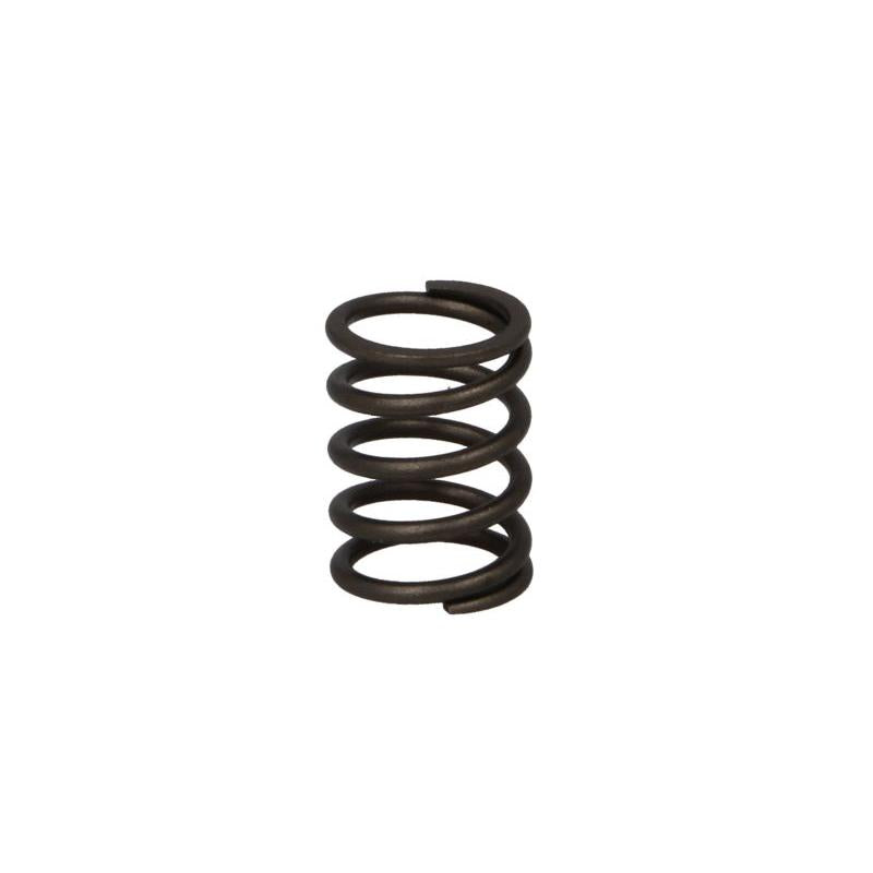 PARSUN F6-04050003 Valve Spring