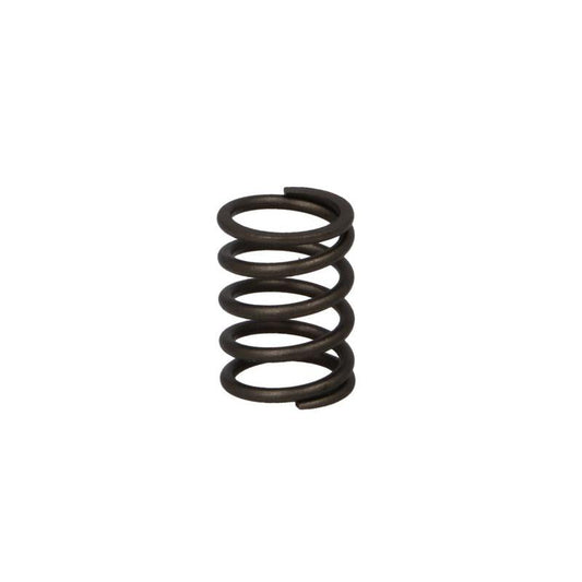 PARSUN F6-04050003 Valve Spring