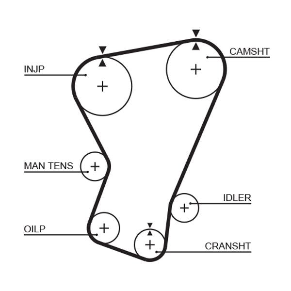 GATES GAT5065 Timing Belt