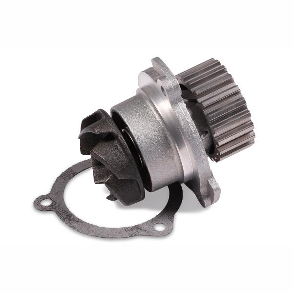 HEPU P624 Water Pump