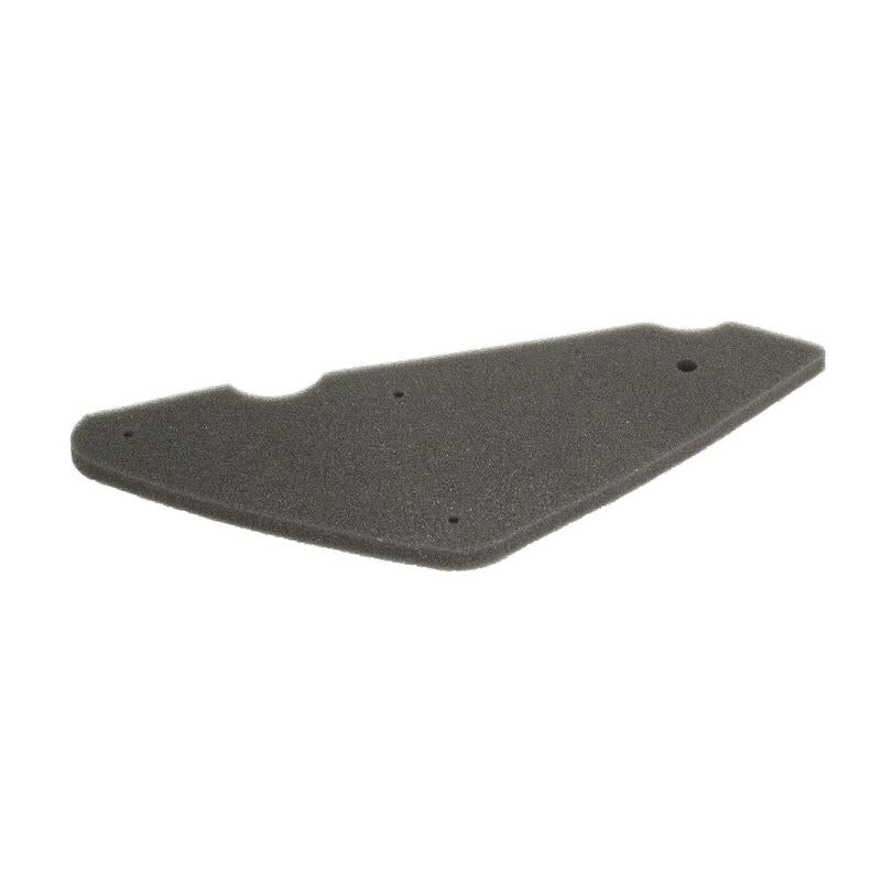 RMS 100600971 Air Filter