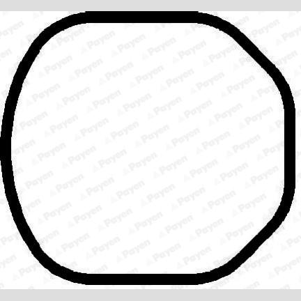 PAYEN JM869 Cylinder Head Cover Gasket