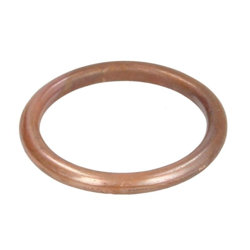 WINDEROSA W823055 Exhaust Pipe Seal Ring