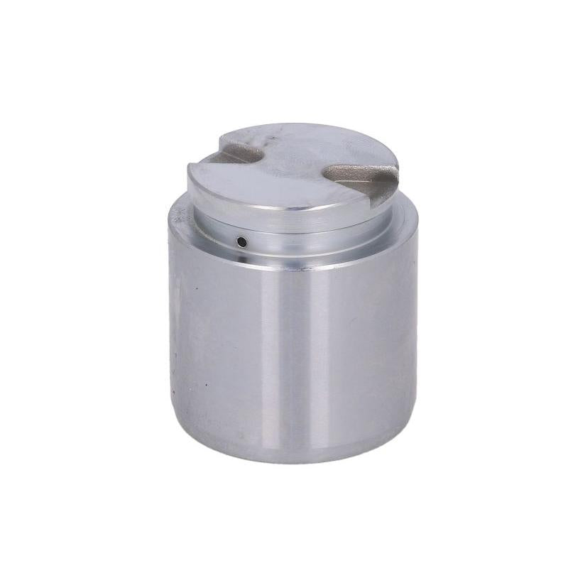 AUTOFREN SEINSA D0-25704 Brake Caliper Piston