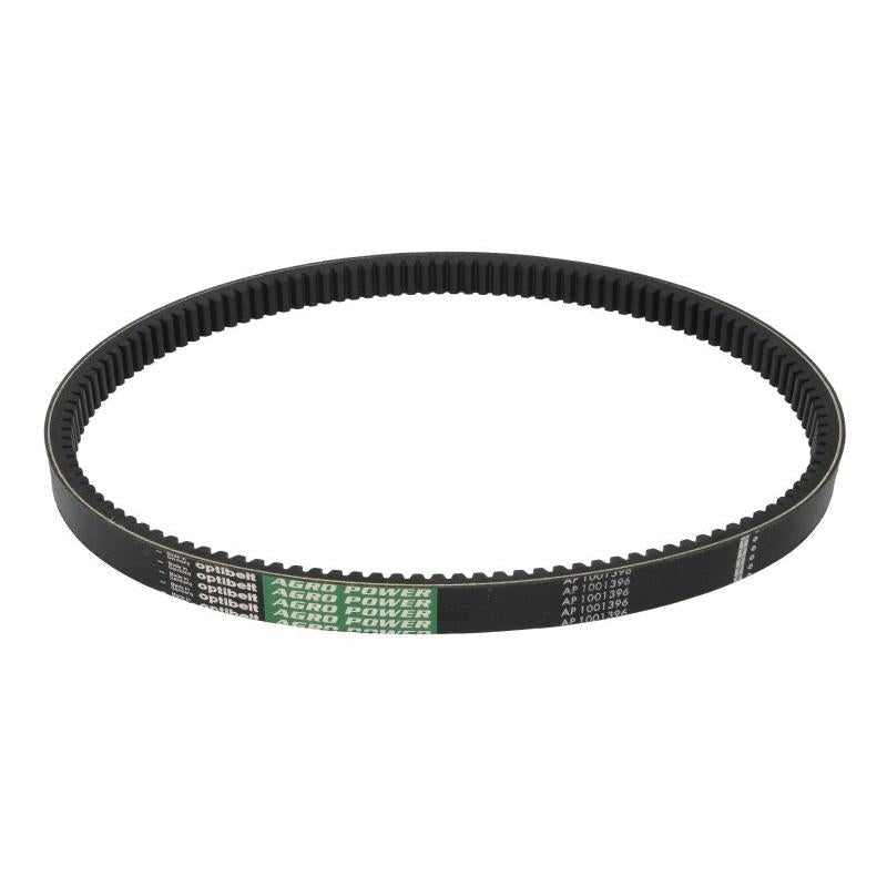 OPTIBELT 1001396AP V-Belt