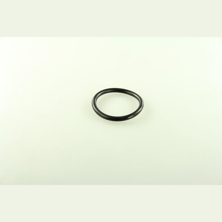 DT A/C 6.30068 Water Pump Gasket
