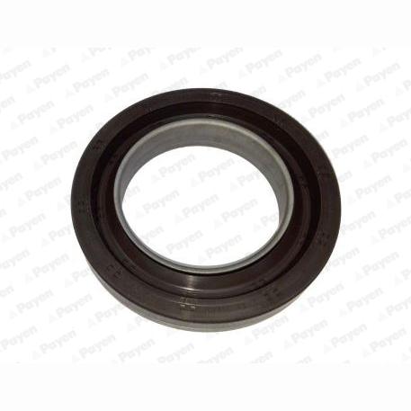 PAYEN NA5202 Crankshaft Shaft Seal