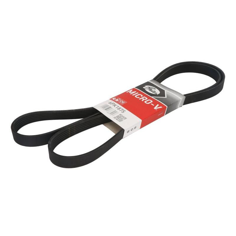 GATES GAT6PK1875 V-Ribbed Belt