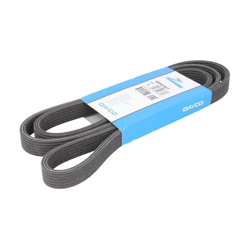 DAYCO DAY6DPK1817 V-Ribbed Belt