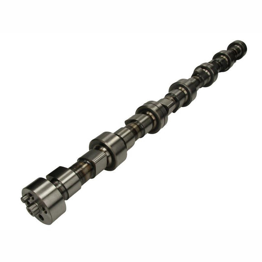 BF 20100208361 Camshaft