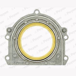 PAYEN LK5002 Crankshaft Shaft Seal