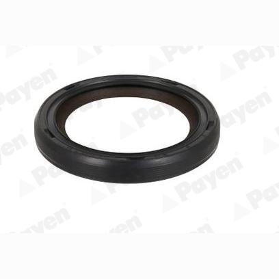 PAYEN NA5501 Crankshaft Shaft Seal