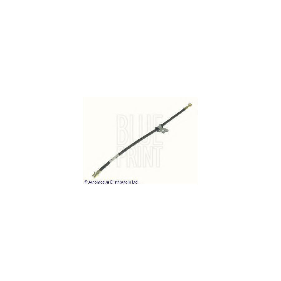 Blue Print Adh25311 Brake Hose for Honda Jazz Hatchback (Aa)