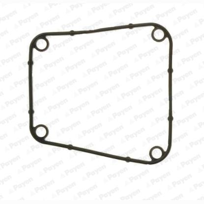PAYEN JN841 Cylinder Head Cover Gasket