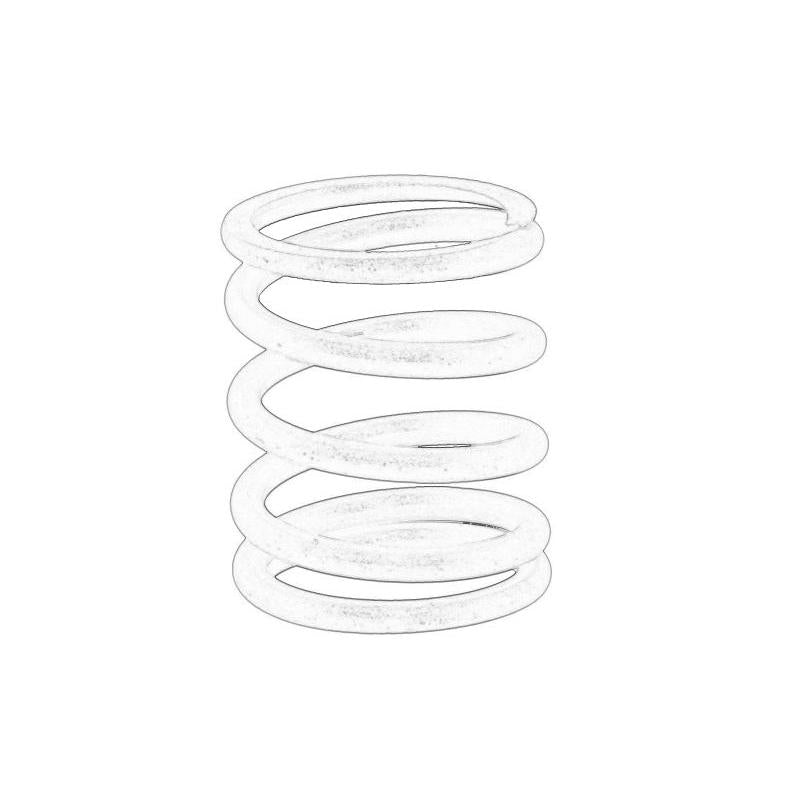 OE PERKINS T417880-PER Valve Spring