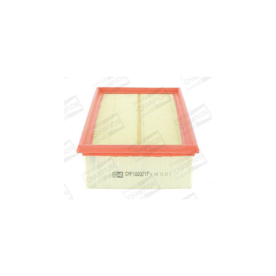 Champion Caf100971P Air Filter