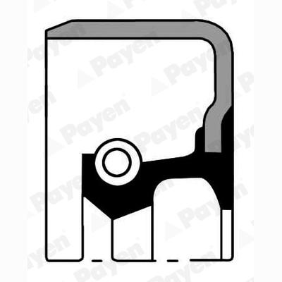 PAYEN NB939 Crankshaft Shaft Seal