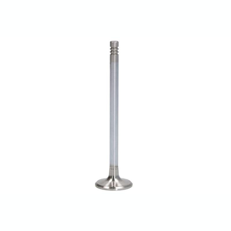 NE 147007001000 Intake Valve