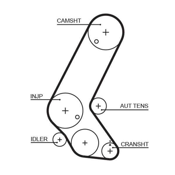 GATES GAT5595XS Timing Belt