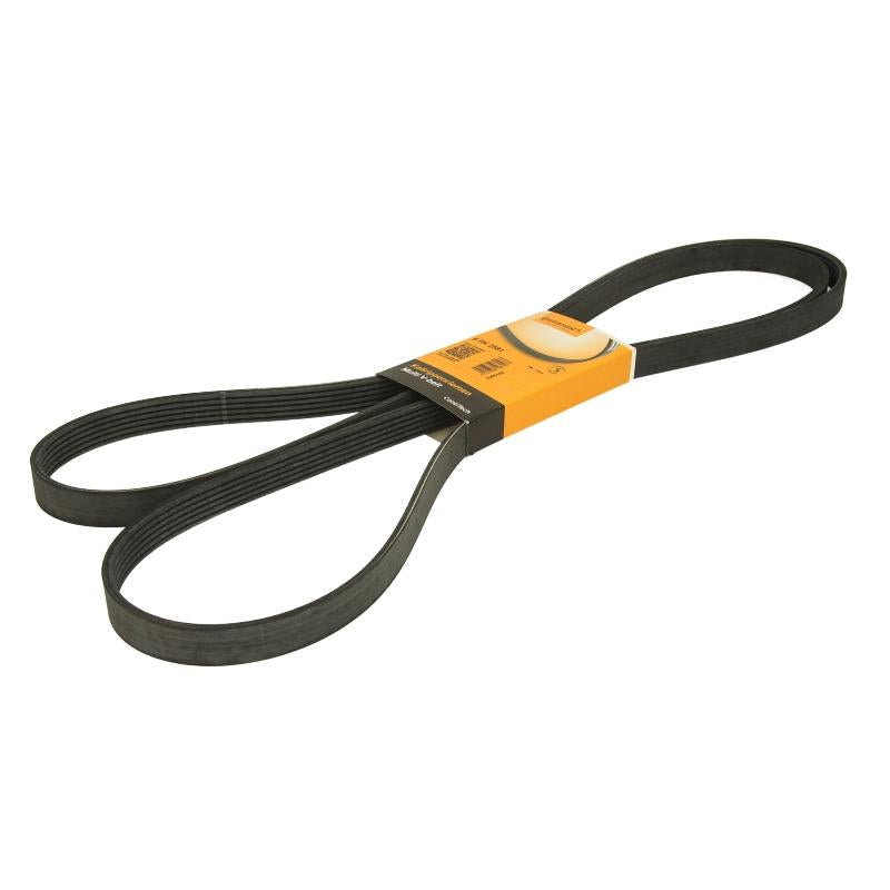 CONTITECH 6PK2581 V-Ribbed Belt