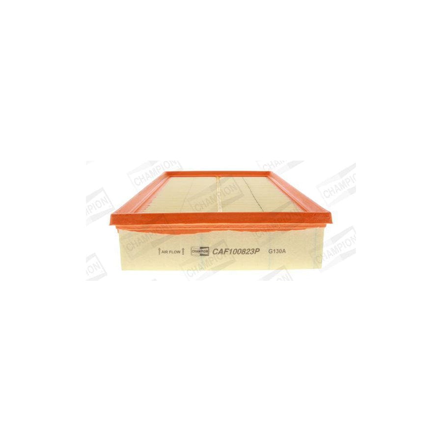 Champion Caf100823P Air Filter
