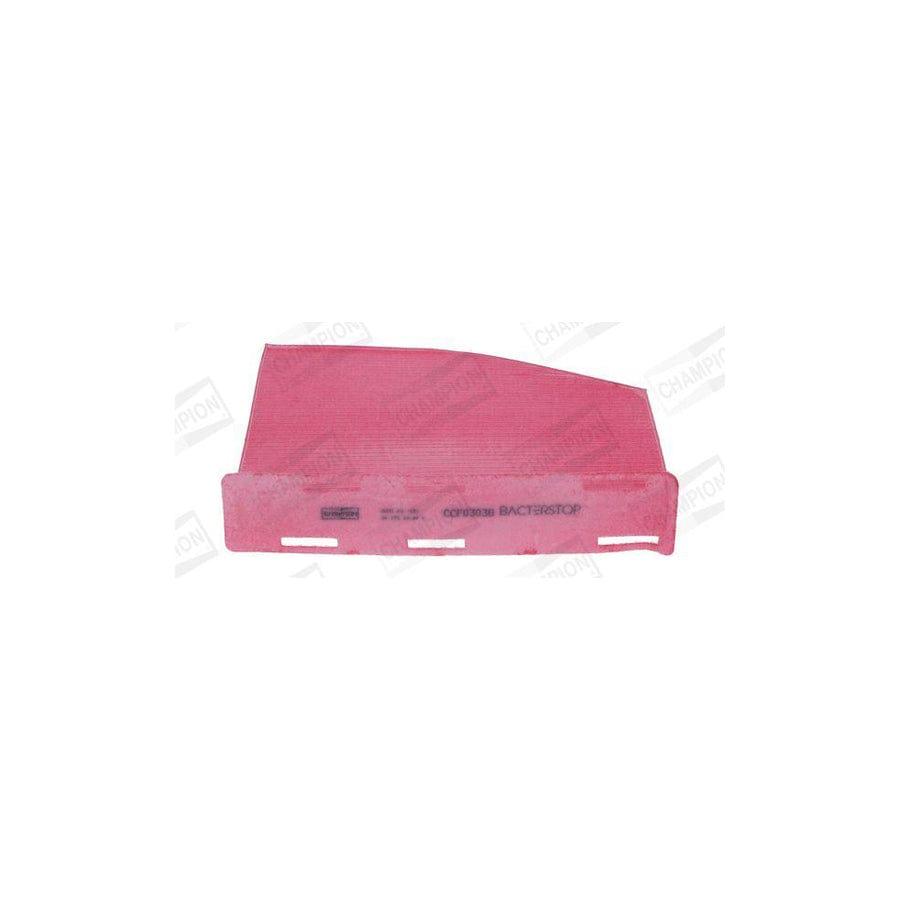 Champion Ccf0303B Pollen Filter